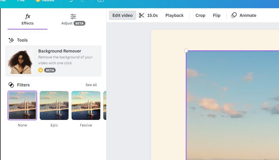 Can You Make Transparent Video in Canva? | design tutorials and guides